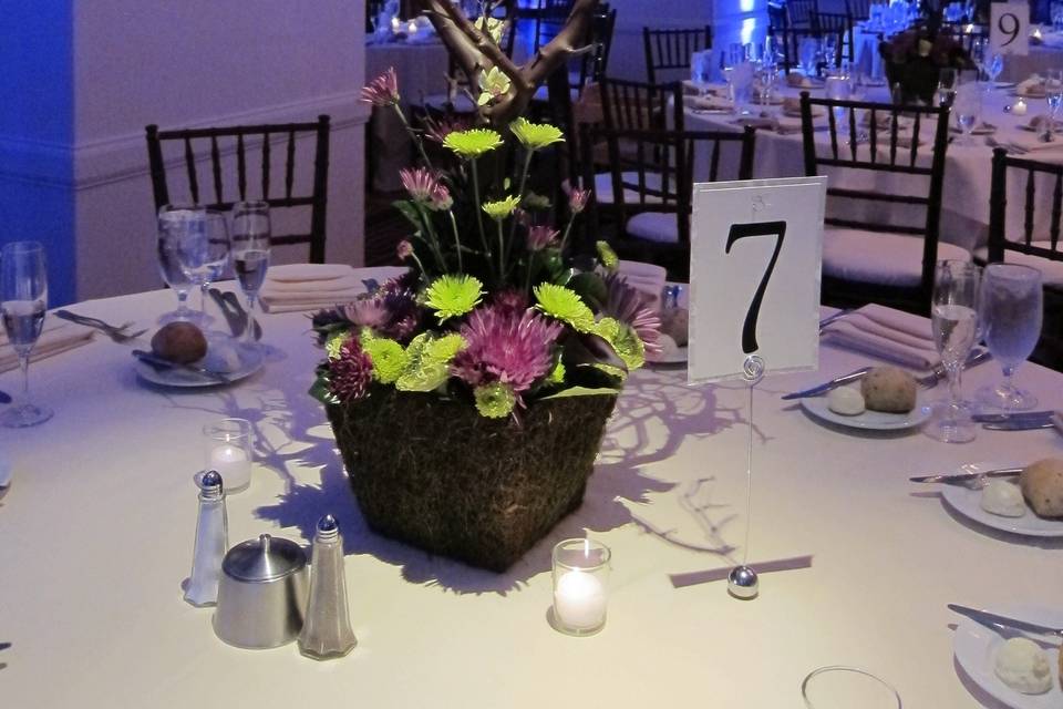 Raise Your Glass Floral & Event Design