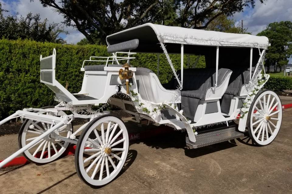 Snow-white carriage