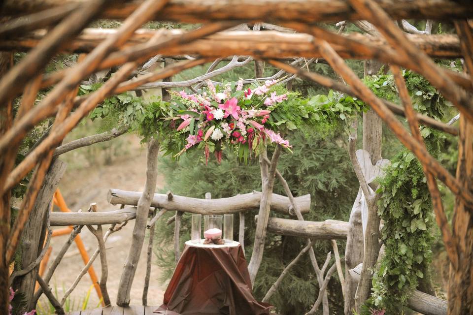 Bloom Flowers and Events