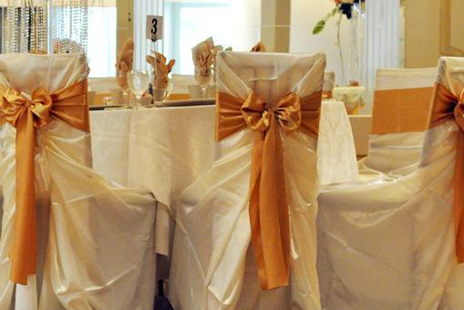 Chair Sashes - Brooklyn Party Rental