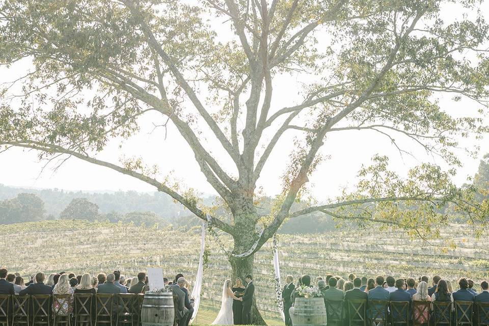 Winery Wedding