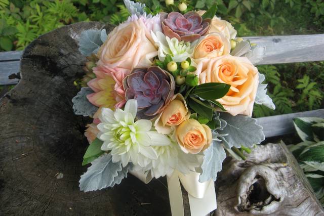 Dahlias, roses and succulents