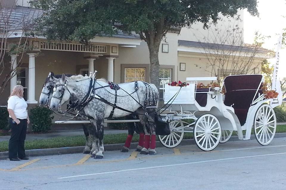 Wedding ride