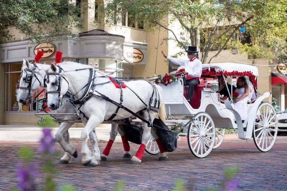 Downtown Horse And Carriage