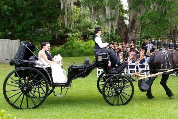 8 Magical Horse Drawn Carriage Rides And Tours In Florida