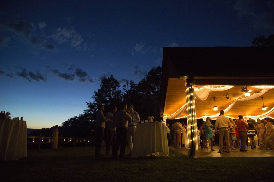 Laura Toraldo Photography