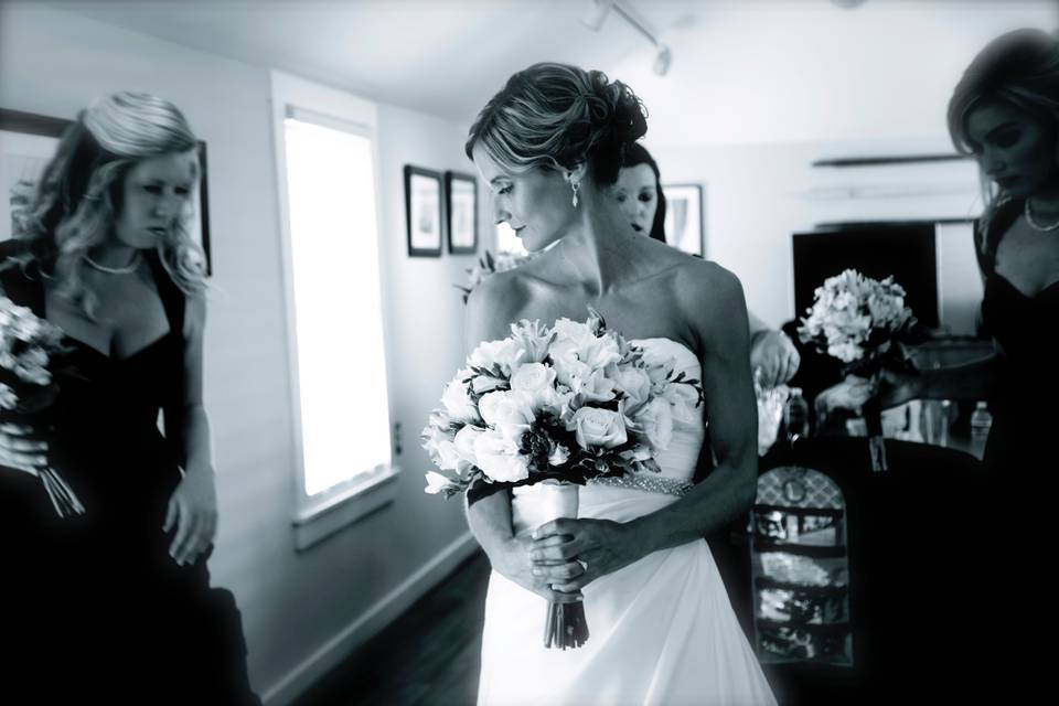 Laura Toraldo Photography