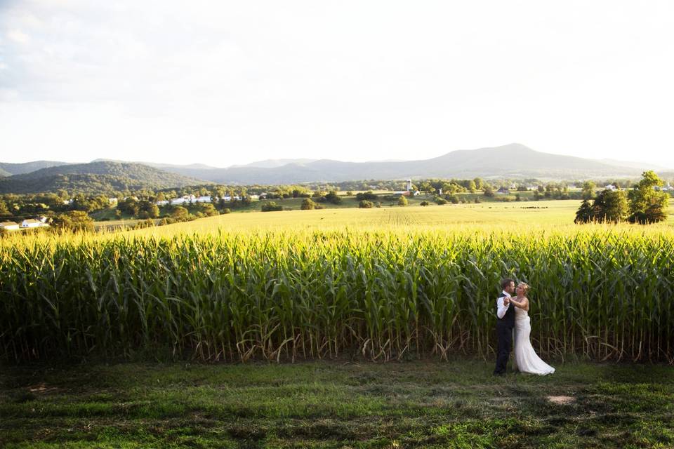 Laura Toraldo Photography
