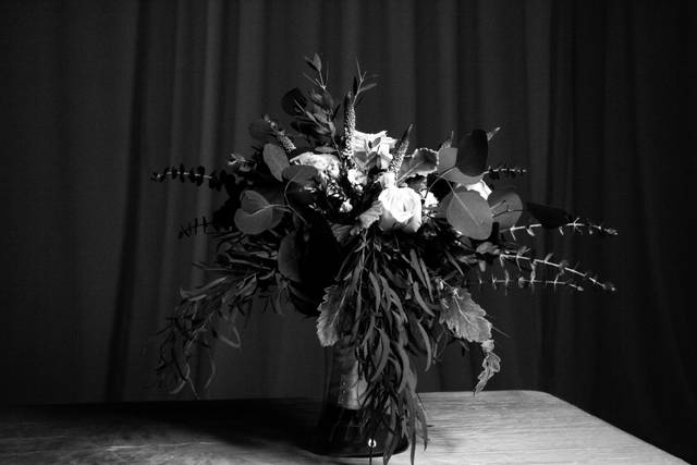 Margaret Wheatley Photography