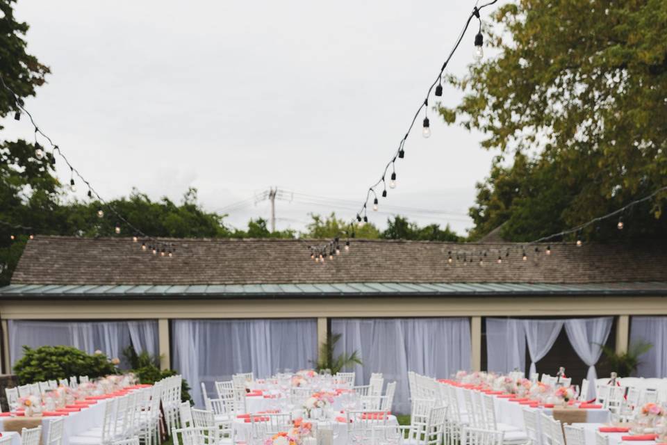 Table setup with centerpiece