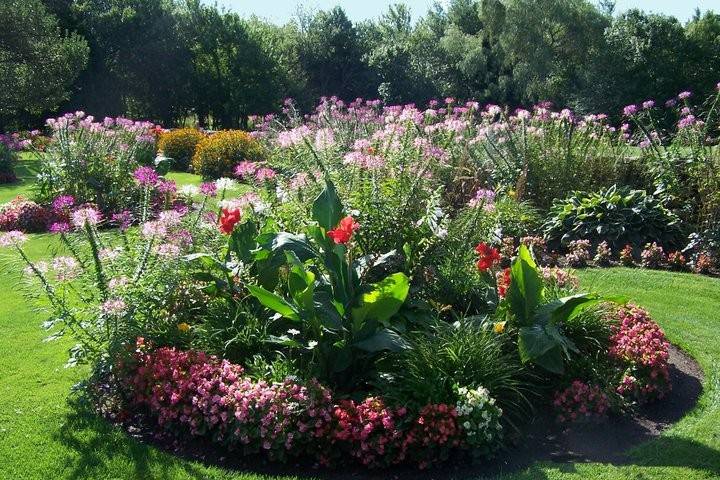 South Lawn flowers