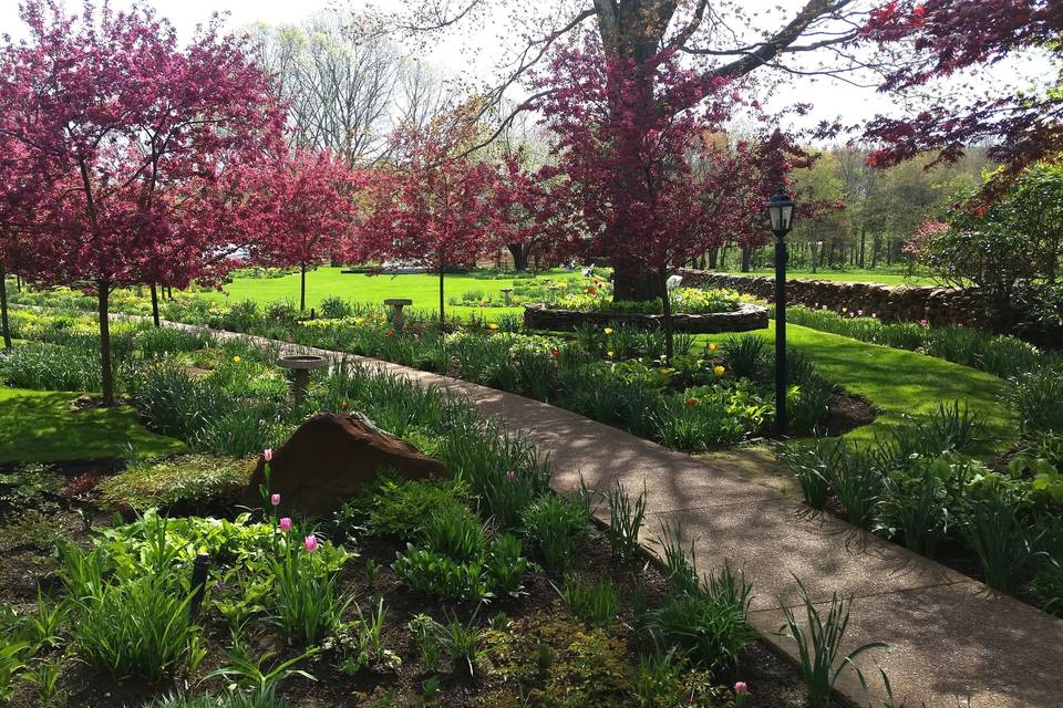 Mid May Garden Walkway