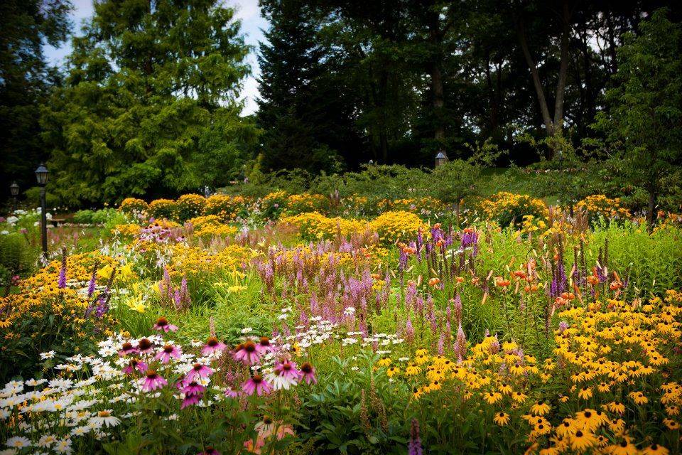 August Garden Walkway from the South Lawn