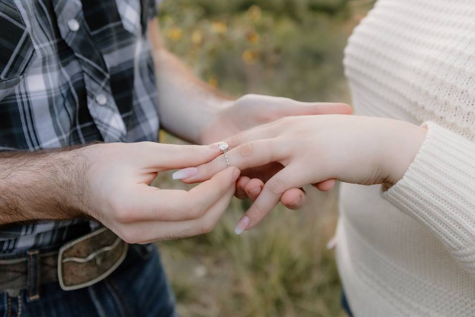 Engagement Photo