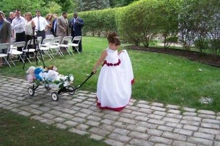 Mid-Michigan Weddings