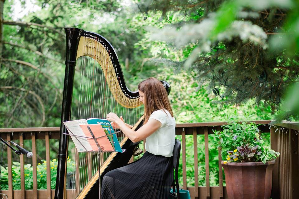 Emily Hinchey | Harpist