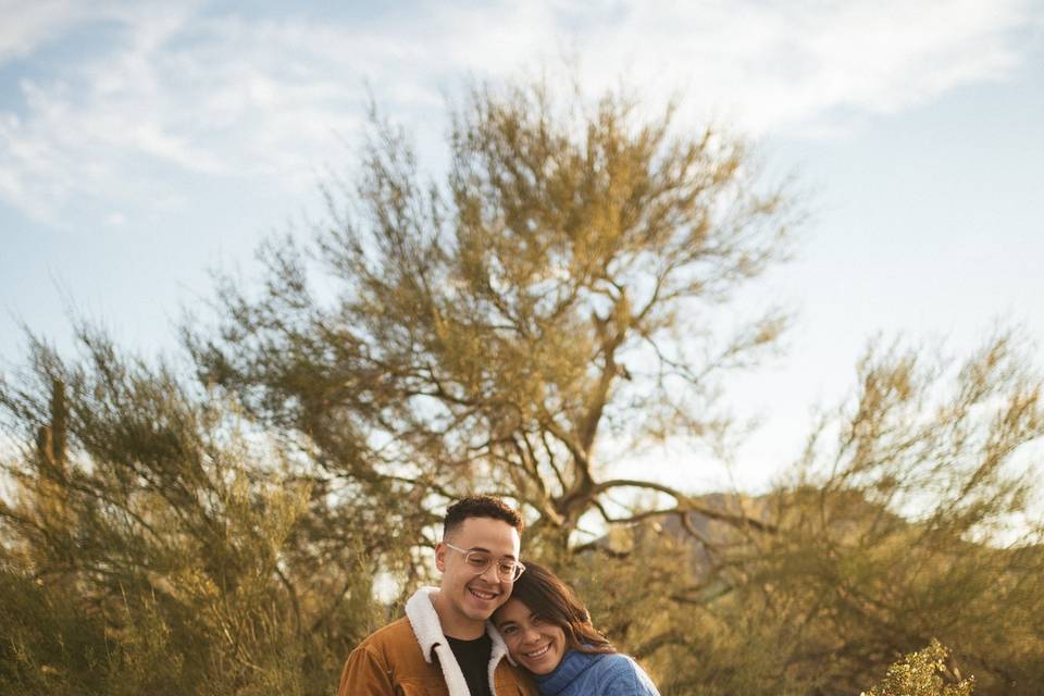 Desert engagement