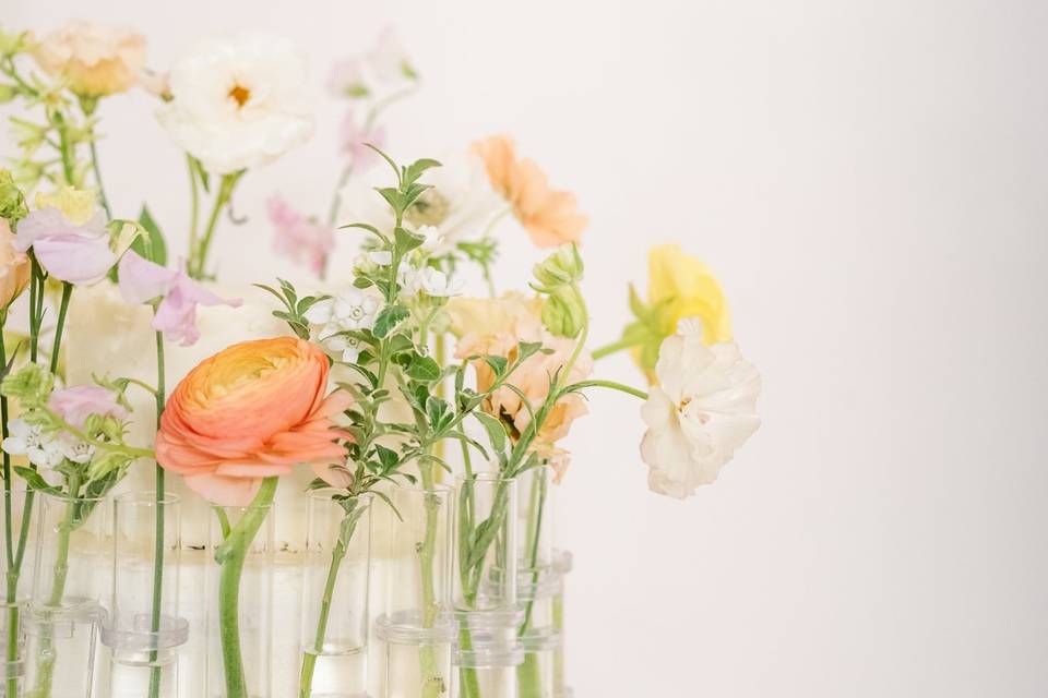 Classic Spring