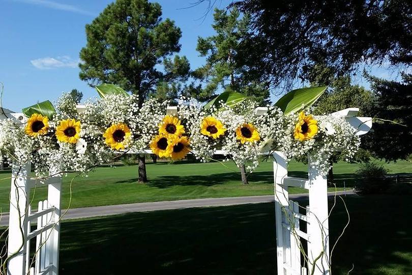 Bailey's Blooms