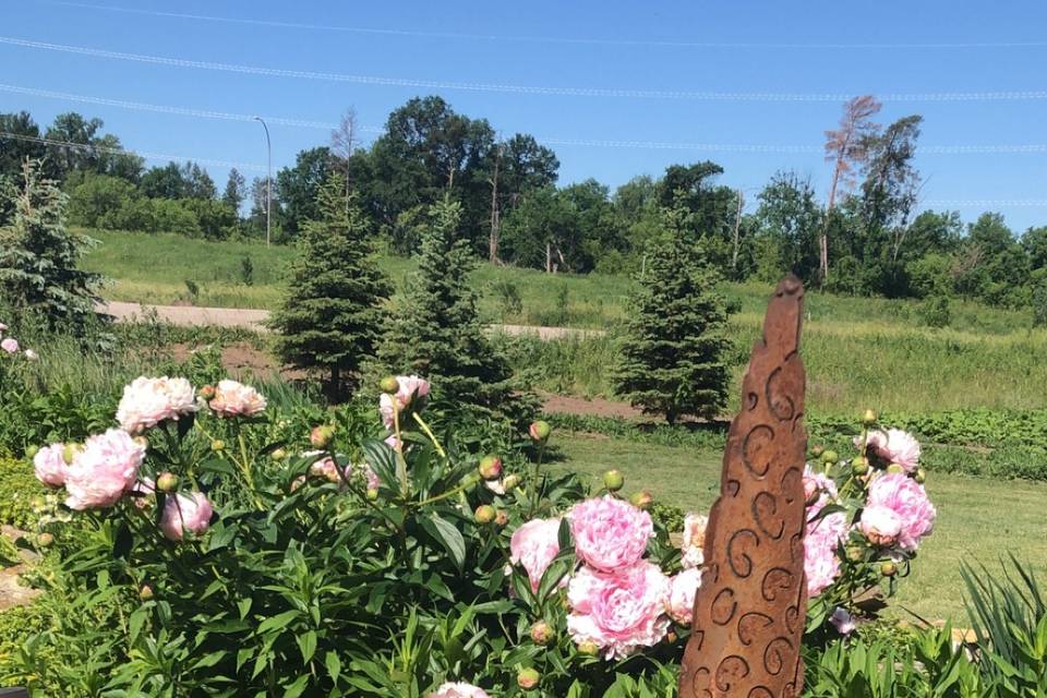 Outside Perennial Garden