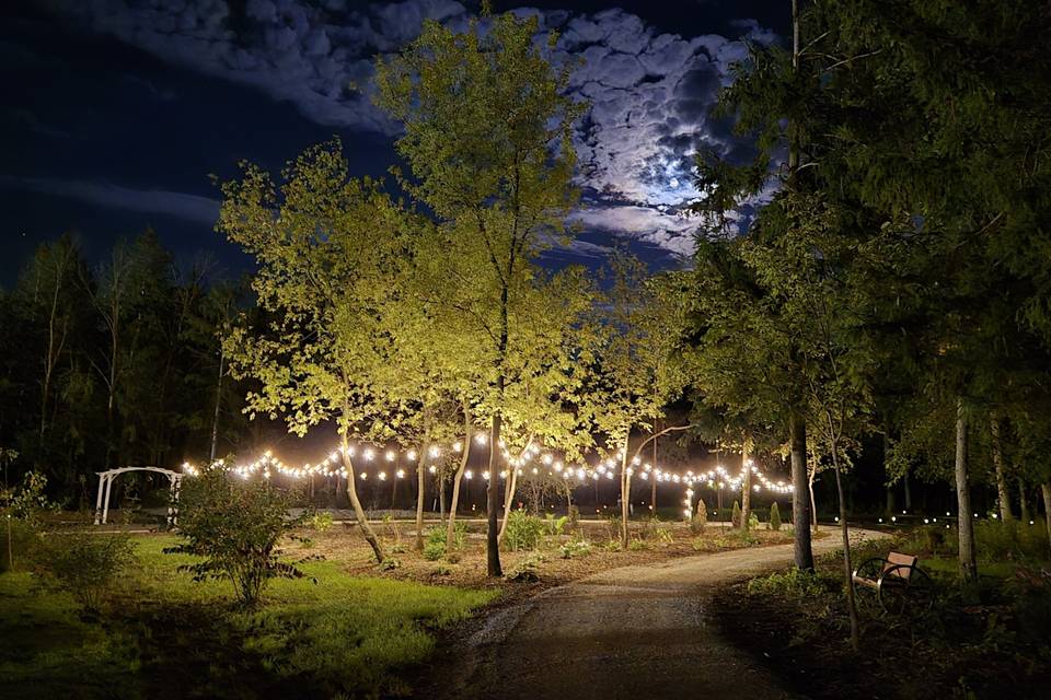 Walking path.