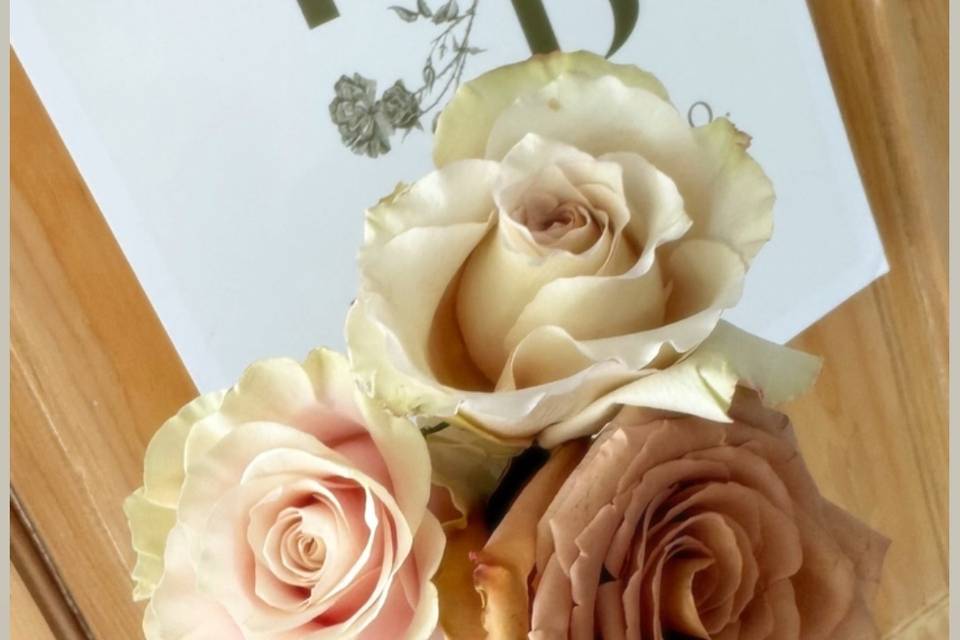 Fresh roses