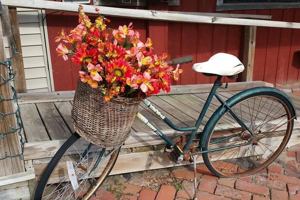 Flowers in bicycle basket