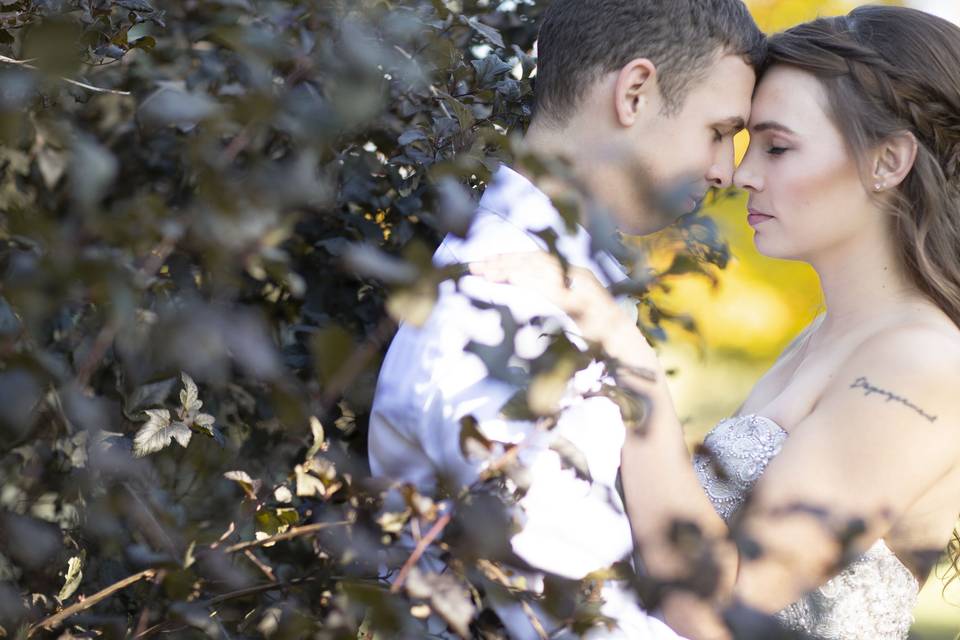 Wedding portrait