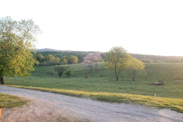 Mountain View Acres