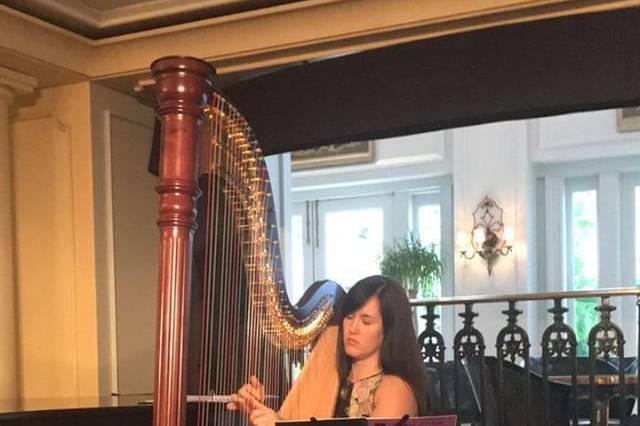 Lauren Lewandowski, Harpist