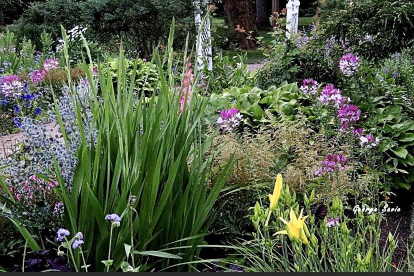 Colonial Revival Garden