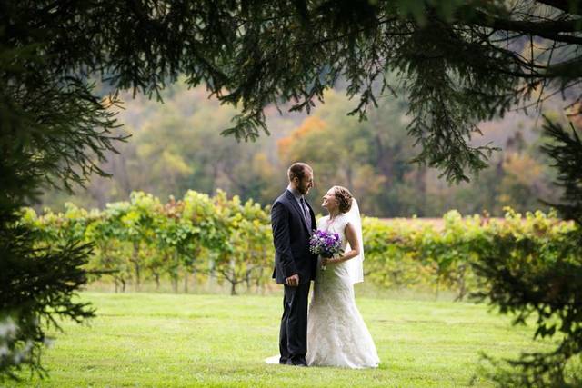Vineyard Wedding