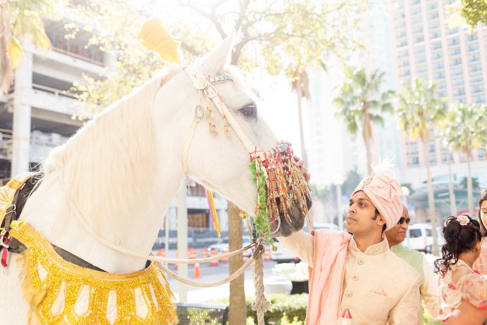 South Asian Wedding