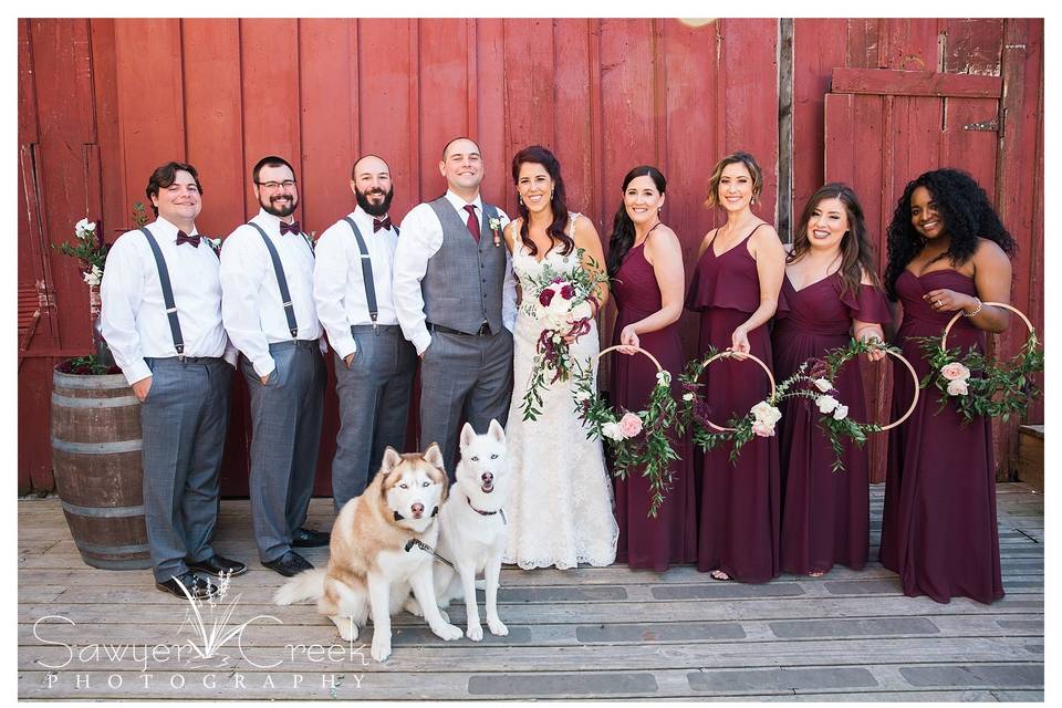 Wedding party with their furry friends