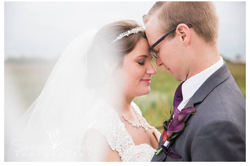 Artistic photo with veil