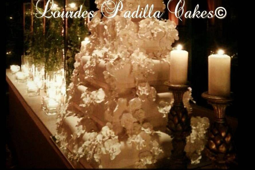 Lourdes Padilla Master Baker & Cake Designer