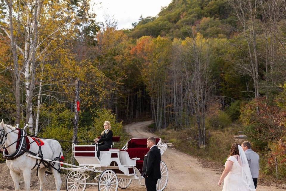 Fall wedding