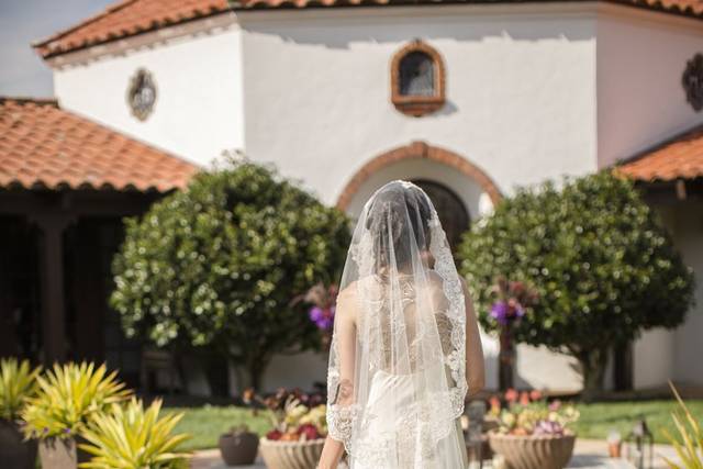 Cathedral mantilla veil