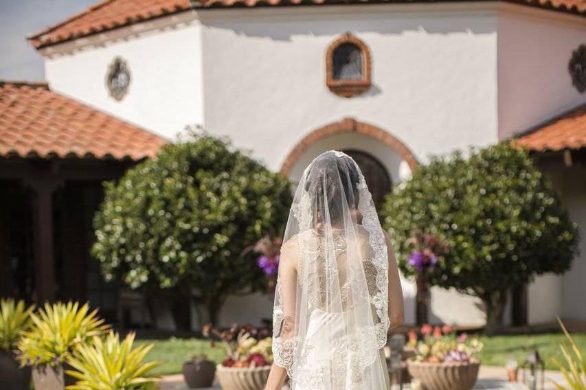 Cathedral mantilla veil