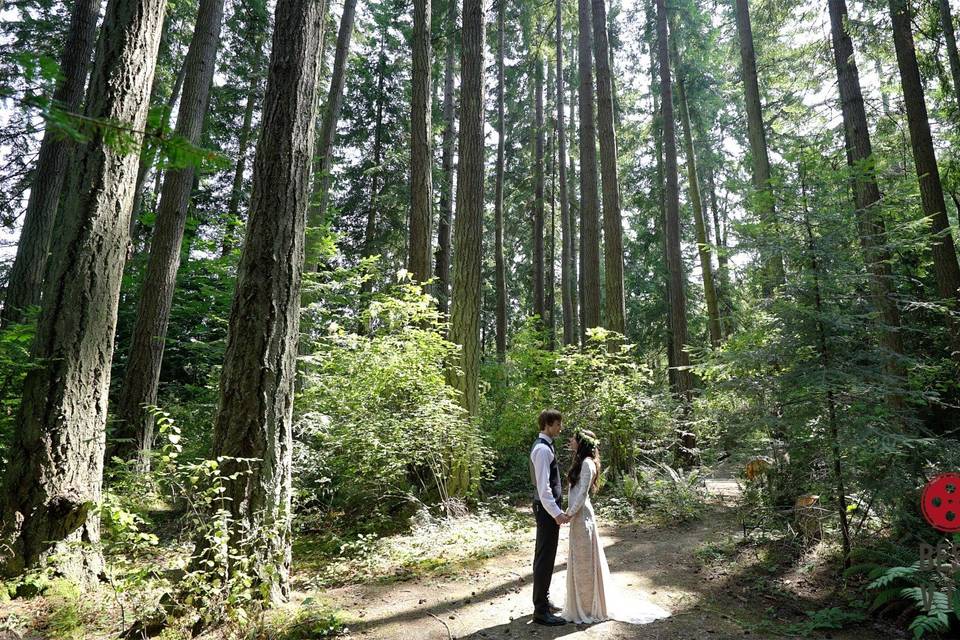 Kitsap Memorial State Park