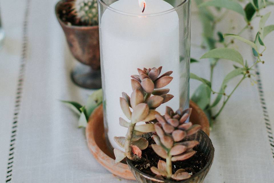 Potted Plant Table Design