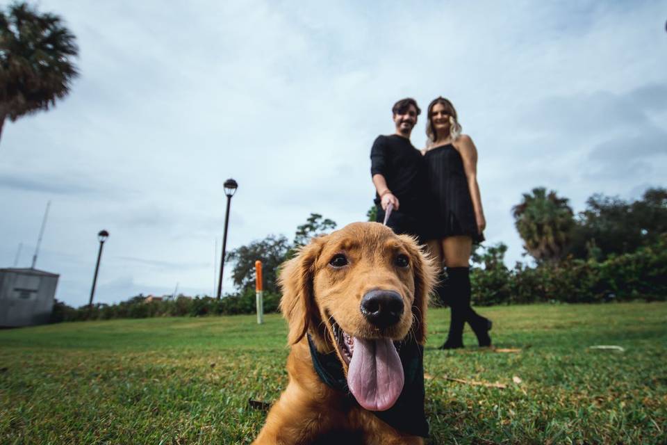 A four-legged family member