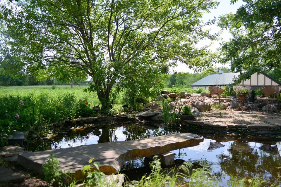 Backyard Koi Pond