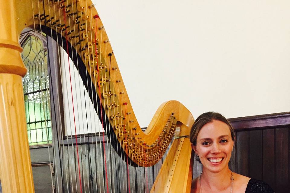 Harp instrument