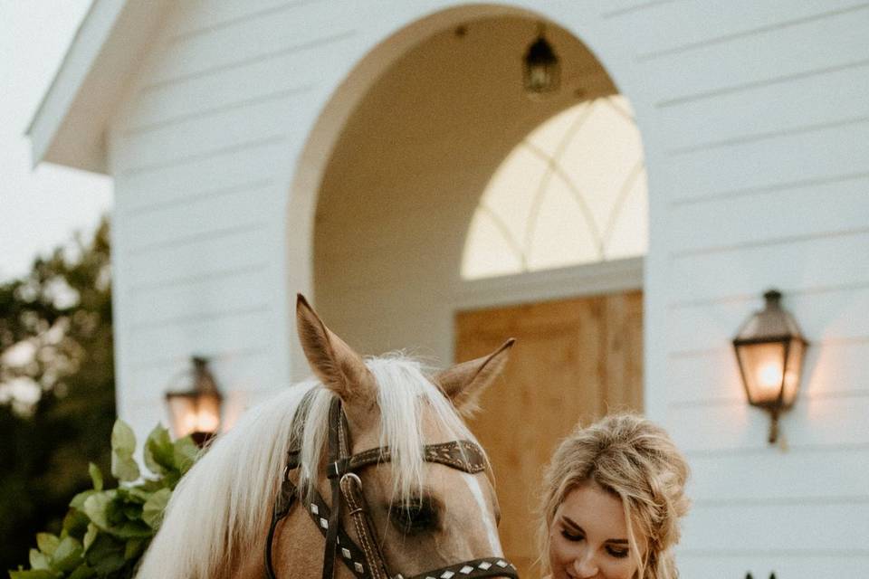 Bride and a horse