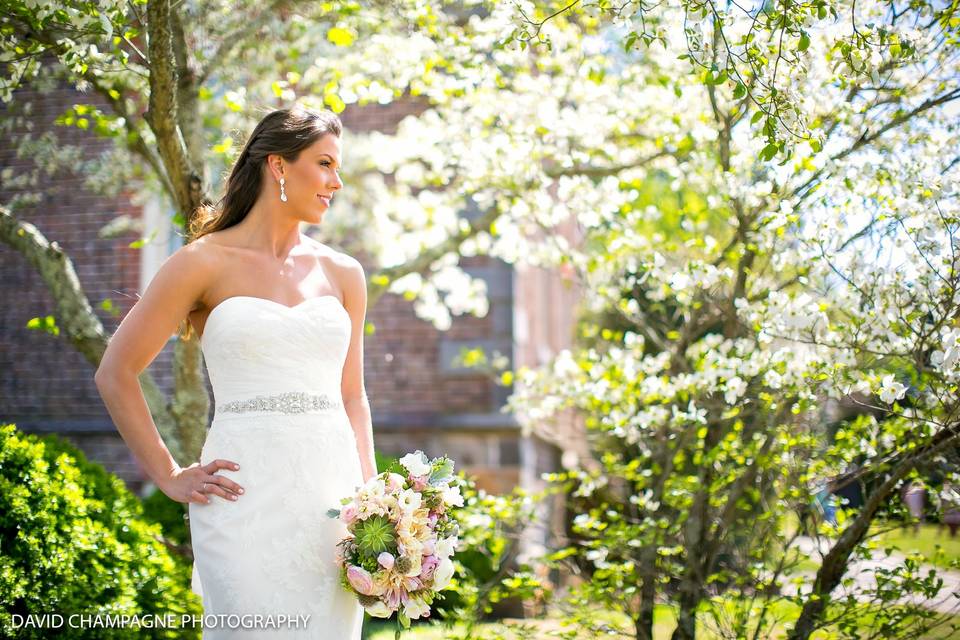 Bride gazing across - David Champagne Photography