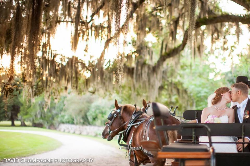 Horse and carriage - David Champagne Photography