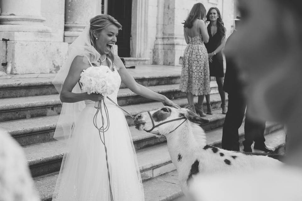 Croatia Wedding Photographer | Dubrovnik | Dalmatia  | Istria