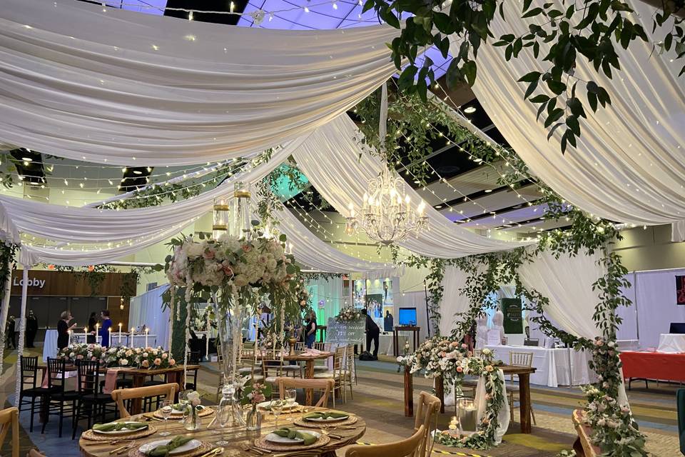 Tent with draping & lighting