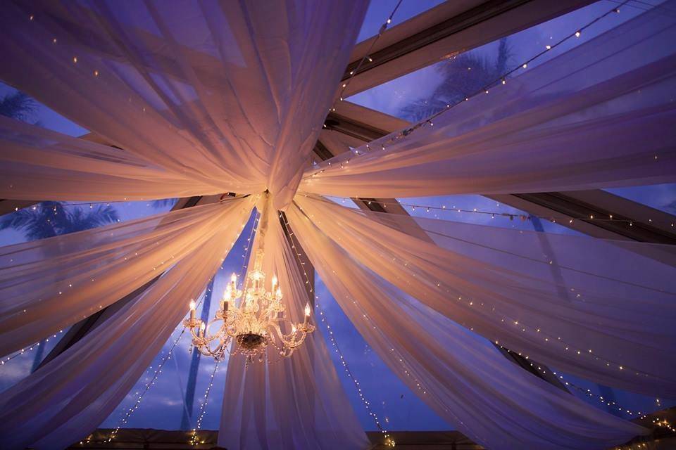 Bliss Wedding Design & Spectacular Events